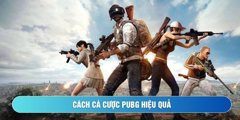 Cách cá cược PUBG hiệu quả từ cơ bản đến nâng cao