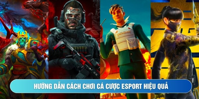 Hướng dẫn cách chơi cá cược Esport hiệu quả cho người mới
